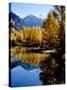 Fall Colors Reflected in Mountain Lake, Telluride, Colorado, USA-Cindy Miller Hopkins-Stretched Canvas
