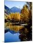 Fall Colors Reflected in Mountain Lake, Telluride, Colorado, USA-Cindy Miller Hopkins-Mounted Photographic Print