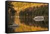 Fall colors reflected on beaver pond, White Mountains National Forest, New Hampshire-Adam Jones-Framed Stretched Canvas