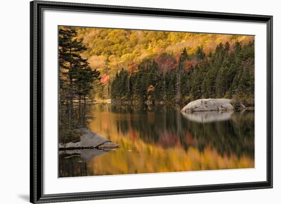 Fall colors reflected on beaver pond, White Mountains National Forest, New Hampshire-Adam Jones-Framed Photographic Print