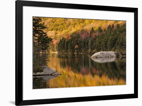 Fall colors reflected on beaver pond, White Mountains National Forest, New Hampshire-Adam Jones-Framed Photographic Print