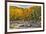 Fall colors reflecting on Swift River, Lower Falls Recreation Site, Kancamagus, New Hampshire-Adam Jones-Framed Photographic Print