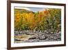 Fall colors reflecting on Swift River, Lower Falls Recreation Site, Kancamagus, New Hampshire-Adam Jones-Framed Photographic Print