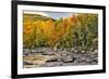 Fall colors reflecting on Swift River, Lower Falls Recreation Site, Kancamagus, New Hampshire-Adam Jones-Framed Photographic Print