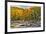 Fall colors reflecting on Swift River, Lower Falls Recreation Site, Kancamagus, New Hampshire-Adam Jones-Framed Photographic Print