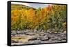 Fall colors reflecting on Swift River, Lower Falls Recreation Site, Kancamagus, New Hampshire-Adam Jones-Framed Stretched Canvas