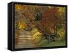 Fall Colors, View Of Country Land, Loudoun County, Virginia, USA-Kenneth Garrett-Framed Stretched Canvas