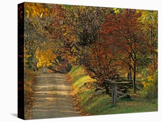 Fall Colors, View Of Country Land, Loudoun County, Virginia, USA-Kenneth Garrett-Stretched Canvas