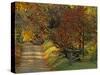 Fall Colors, View Of Country Land, Loudoun County, Virginia, USA-Kenneth Garrett-Stretched Canvas