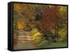 Fall Colors, View Of Country Land, Loudoun County, Virginia, USA-Kenneth Garrett-Framed Stretched Canvas