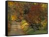 Fall Colors, View Of Country Land, Loudoun County, Virginia, USA-Kenneth Garrett-Framed Stretched Canvas