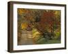 Fall Colors, View Of Country Land, Loudoun County, Virginia, USA-Kenneth Garrett-Framed Photographic Print