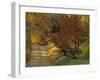 Fall Colors, View Of Country Land, Loudoun County, Virginia, USA-Kenneth Garrett-Framed Photographic Print