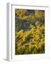 Fall Colors, Viseu de Sus, Maramures, Romania-Russell Young-Framed Photographic Print