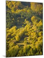 Fall Colors, Viseu de Sus, Maramures, Romania-Russell Young-Mounted Photographic Print