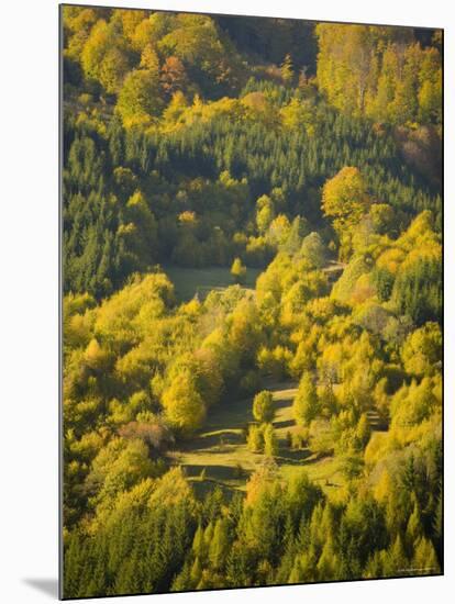 Fall Colors, Viseu de Sus, Maramures, Romania-Russell Young-Mounted Photographic Print