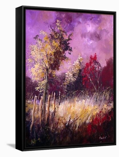 Fall colors-Pol Ledent-Framed Stretched Canvas