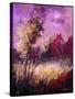 Fall colors-Pol Ledent-Stretched Canvas