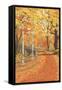 Fall Colors-Lantern Press-Framed Stretched Canvas