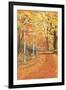 Fall Colors-Lantern Press-Framed Art Print