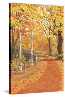 Fall Colors-Lantern Press-Stretched Canvas