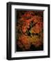 Fall Colours 1-Dorothy Berry-Lound-Framed Giclee Print