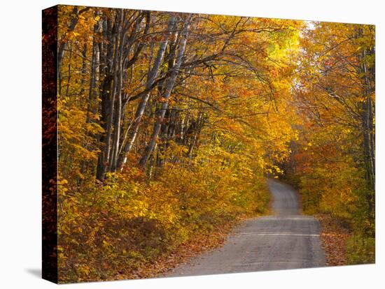 Fall Colours, Baxter State Park, Maine, New England, United States of America, North America-Alan Copson-Stretched Canvas