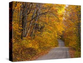 Fall Colours, Baxter State Park, Maine, New England, United States of America, North America-Alan Copson-Stretched Canvas