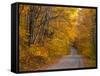 Fall Colours, Baxter State Park, Maine, New England, United States of America, North America-Alan Copson-Framed Stretched Canvas