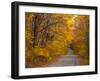 Fall Colours, Baxter State Park, Maine, New England, United States of America, North America-Alan Copson-Framed Photographic Print