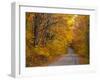 Fall Colours, Baxter State Park, Maine, New England, United States of America, North America-Alan Copson-Framed Photographic Print