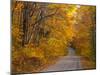 Fall Colours, Baxter State Park, Maine, New England, United States of America, North America-Alan Copson-Mounted Photographic Print