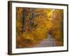 Fall Colours, Baxter State Park, Maine, New England, United States of America, North America-Alan Copson-Framed Photographic Print