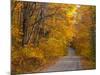 Fall Colours, Baxter State Park, Maine, New England, United States of America, North America-Alan Copson-Mounted Photographic Print