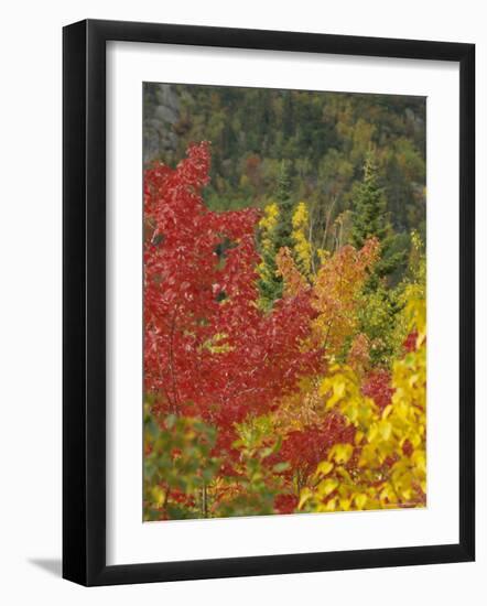 Fall Colours, Eastern Townships, Quebec, Canada, North America-Maurice Joseph-Framed Photographic Print