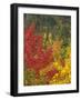 Fall Colours, Eastern Townships, Quebec, Canada, North America-Maurice Joseph-Framed Photographic Print