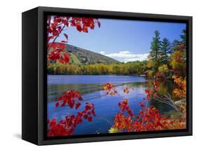 Fall Colours, Moose Pond, with Mount Pleasant in the Background, Maine, New England, USA-Roy Rainford-Framed Stretched Canvas