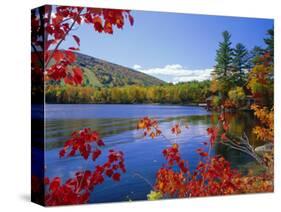 Fall Colours, Moose Pond, with Mount Pleasant in the Background, Maine, New England, USA-Roy Rainford-Stretched Canvas