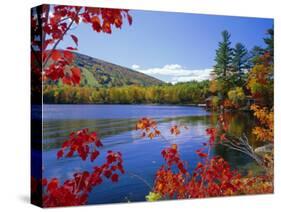 Fall Colours, Moose Pond, with Mount Pleasant in the Background, Maine, New England, USA-Roy Rainford-Stretched Canvas