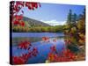 Fall Colours, Moose Pond, with Mount Pleasant in the Background, Maine, New England, USA-Roy Rainford-Stretched Canvas