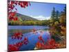 Fall Colours, Moose Pond, with Mount Pleasant in the Background, Maine, New England, USA-Roy Rainford-Mounted Premium Photographic Print