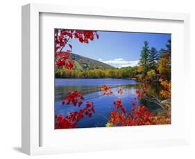 Fall Colours, Moose Pond, with Mount Pleasant in the Background, Maine, New England, USA-Roy Rainford-Framed Photographic Print