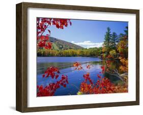 Fall Colours, Moose Pond, with Mount Pleasant in the Background, Maine, New England, USA-Roy Rainford-Framed Photographic Print