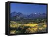 Fall Colours over Denali National Park, Alaska, USA-John Warburton-lee-Framed Stretched Canvas