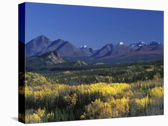 Fall Colours over Denali National Park, Alaska, USA-John Warburton-lee-Stretched Canvas