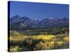 Fall Colours over Denali National Park, Alaska, USA-John Warburton-lee-Stretched Canvas