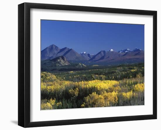 Fall Colours over Denali National Park, Alaska, USA-John Warburton-lee-Framed Photographic Print