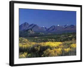 Fall Colours over Denali National Park, Alaska, USA-John Warburton-lee-Framed Photographic Print