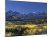 Fall Colours over Denali National Park, Alaska, USA-John Warburton-lee-Mounted Photographic Print