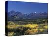 Fall Colours over Denali National Park, Alaska, USA-John Warburton-lee-Stretched Canvas